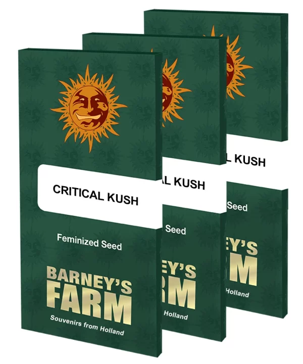 CRITICAL KUSH FOTO