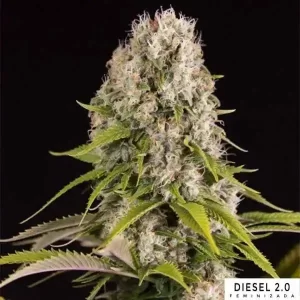 DIESEL 2.0