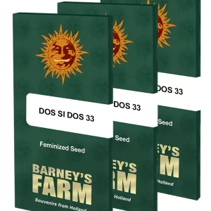 DOS SI DOS 33