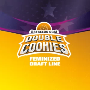 DOUBLE COOKIES