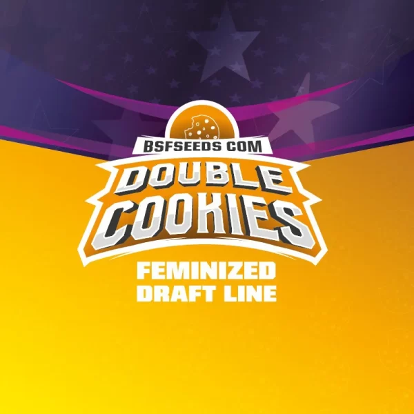 DOUBLE COOKIES