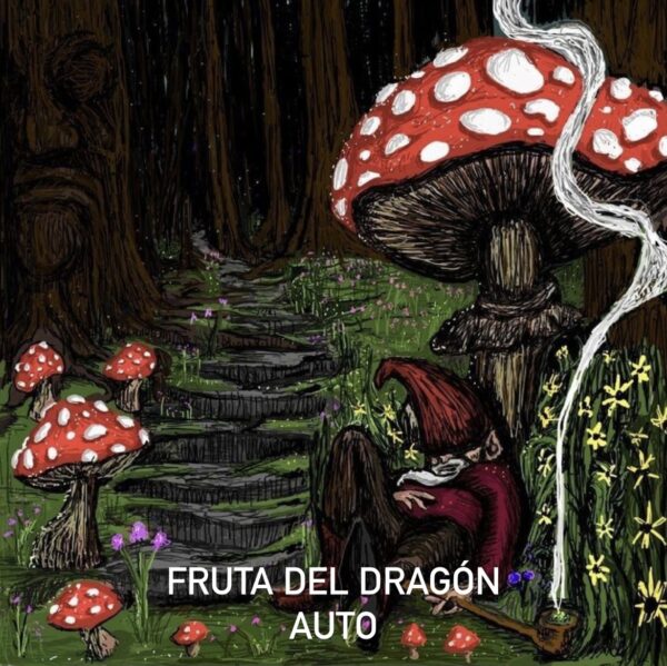FRUTA DEL DRAGÓN