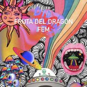 FRUTA DEL DRAGÓN