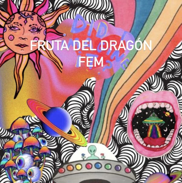 FRUTA DEL DRAGÓN