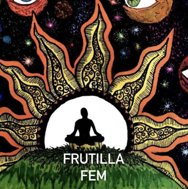 FRUTILLA