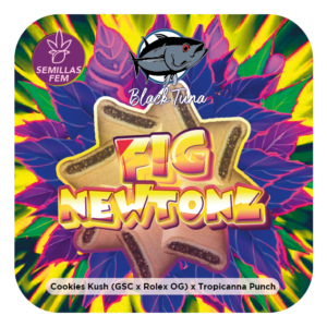 FIG NEWTONZ