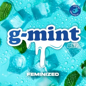 G-MINT