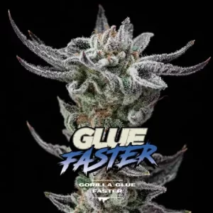GORILLA GLUE FASTER