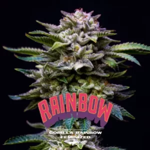 GORILLA RAINBOW