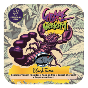 GRAPE VENOM