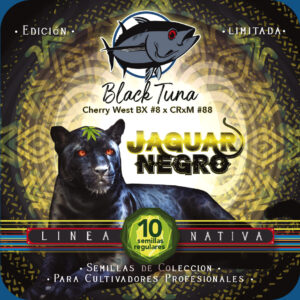 JAGUAR NEGRO REG