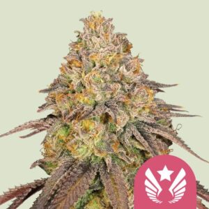 LEGENDARY OG PUNCH