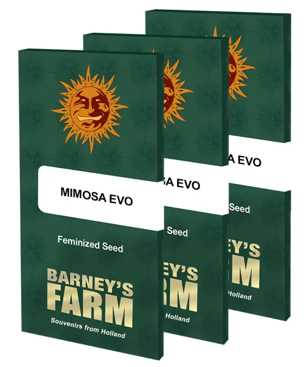 MIMOSA EVO