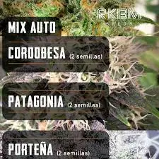 MIX AUTO
