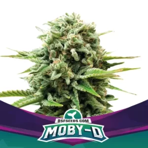 MOBY-D