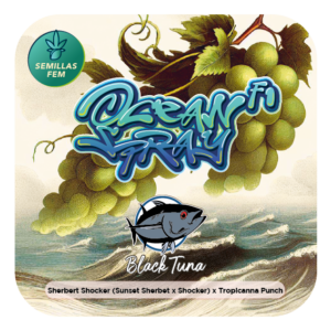 OCEAN SPRAY