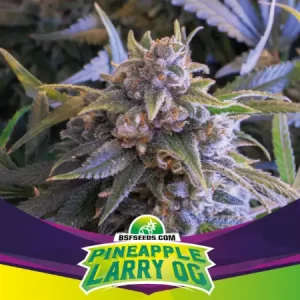 PINEAPPLE LARRY OG