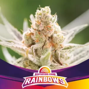 RAINBOWS