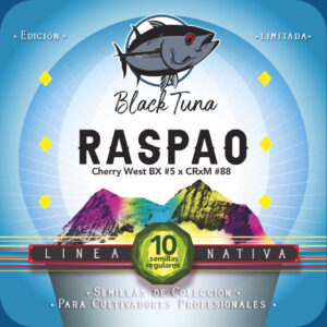 RASPAO REG
