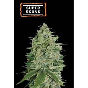 SUPER SKUNK FEM