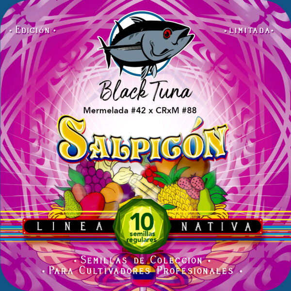 SALPICON REG
