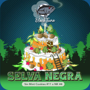 SELVA NEGRA