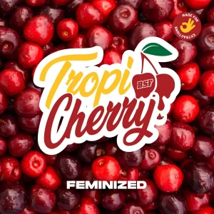 TROPY CHERRY