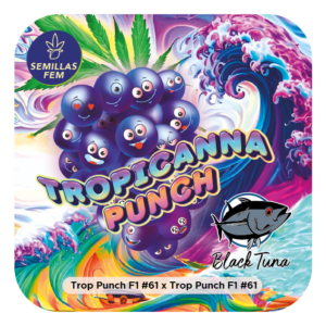 TROPICANNA PUNCH S1