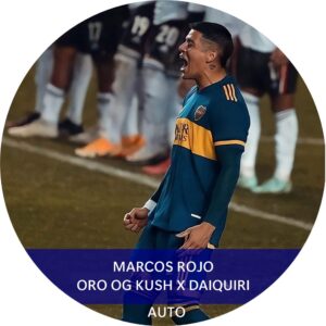 MARCOS ROJO AUTO