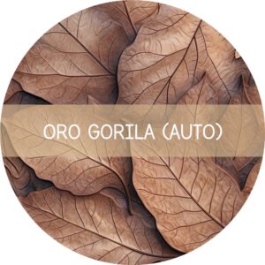 ORO GORILA