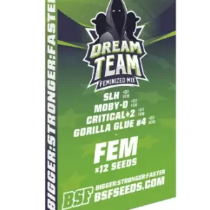 DREAM TEAM MIX