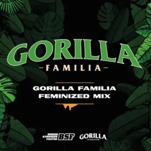 MIX GORILLA FAMILIA