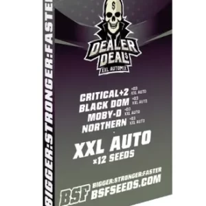 Dealer Deal XXL
