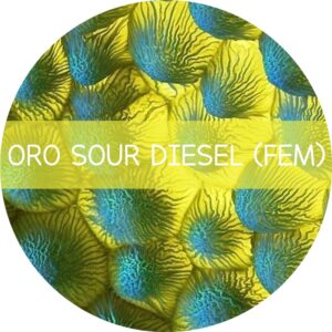 ORO SOUR DIESEL