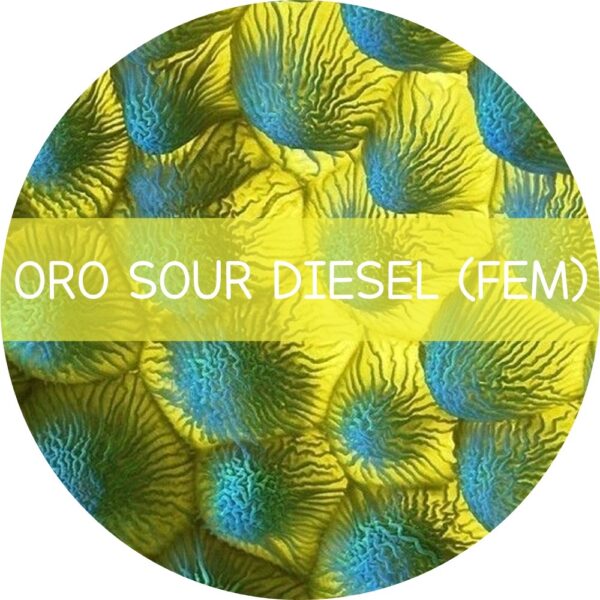 ORO SOUR DIESEL