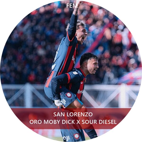 SAN LORENZO FEM