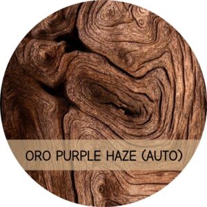 ORO PURPLE HAZE