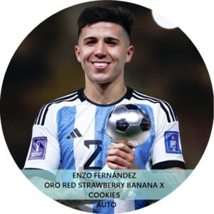 ENZO FERNANDEZ AUTO