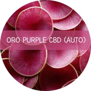 ORO PURPLE CBD