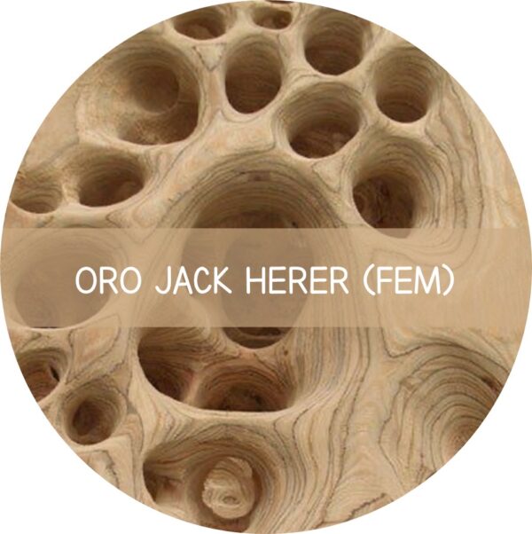 ORO JACK HERER