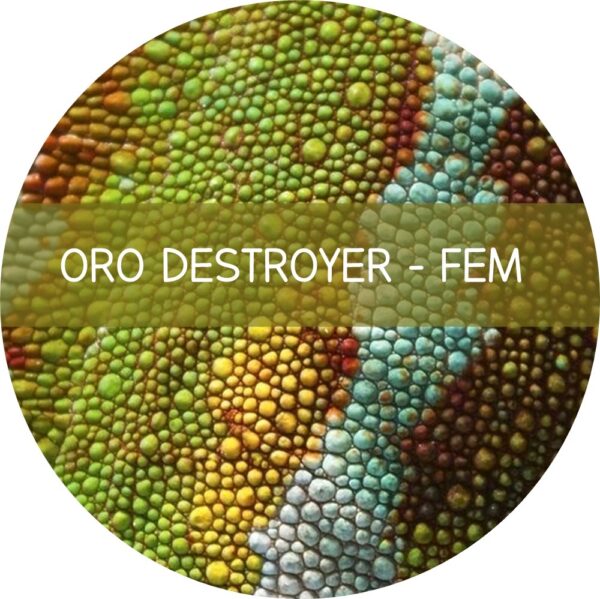 ORO DESTROYER