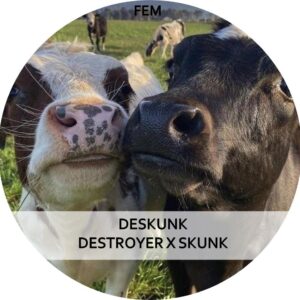 DESKUNK