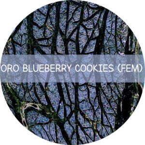 ORO BLUEBERRY COOKIES