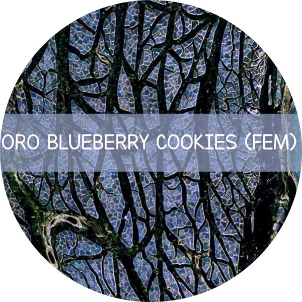 ORO BLUEBERRY COOKIES