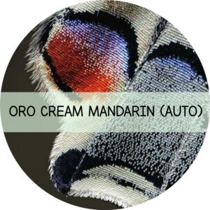 ORO CREAM MANDARINE