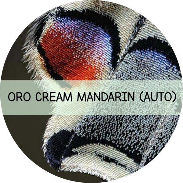 ORO CREAM MANDARINE
