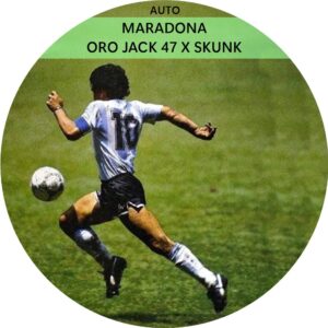 MARADONA AUTO