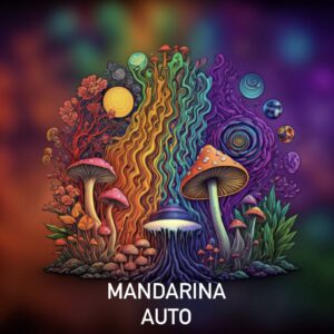 MANDARINA