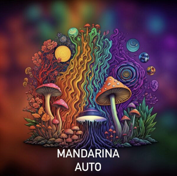 MANDARINA