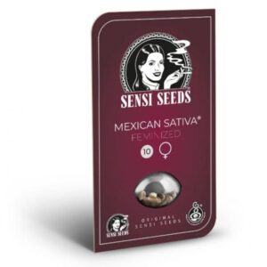 MEXICAN SATIVA